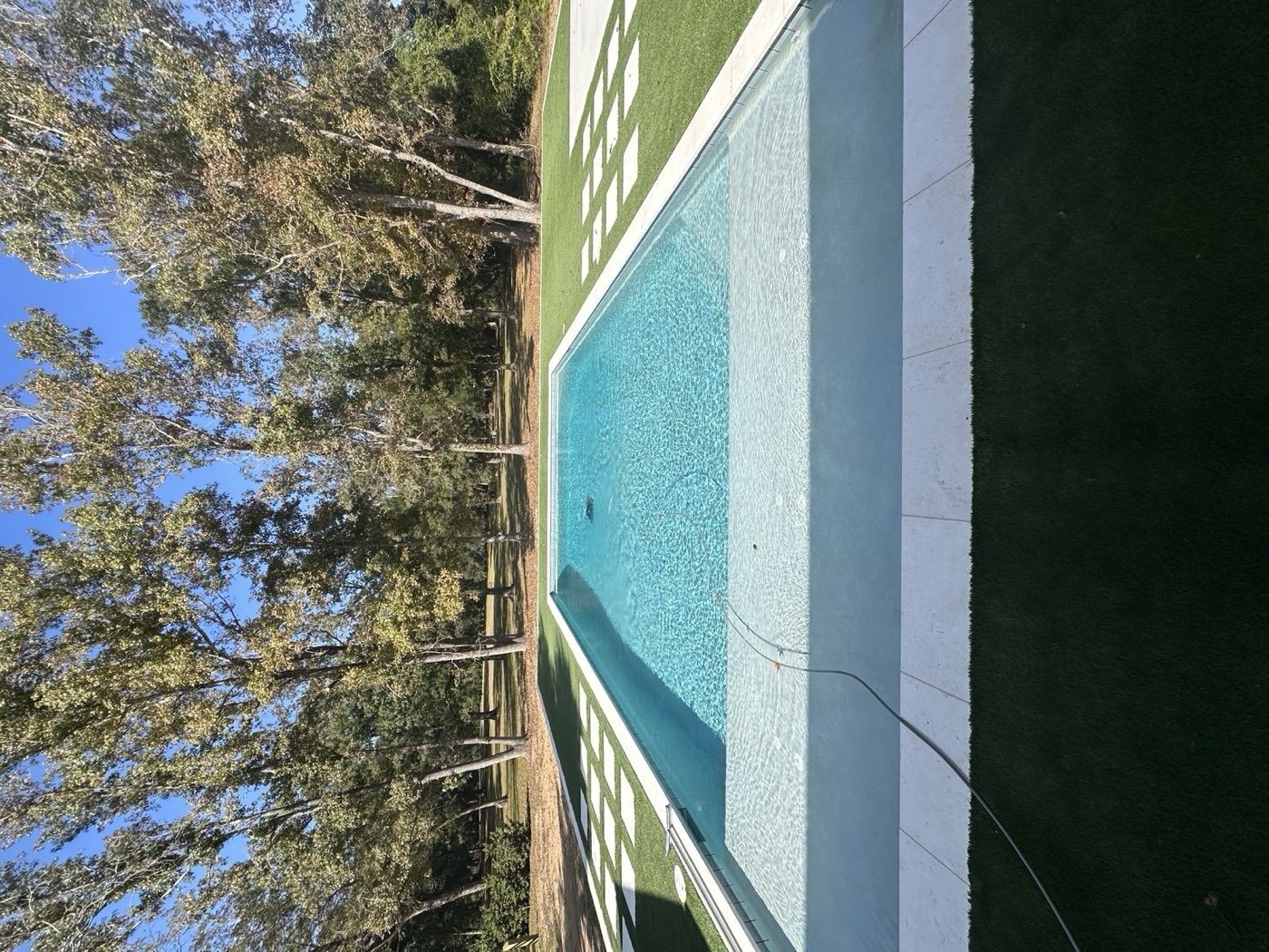 Pool with turf surround and mature trees in the background