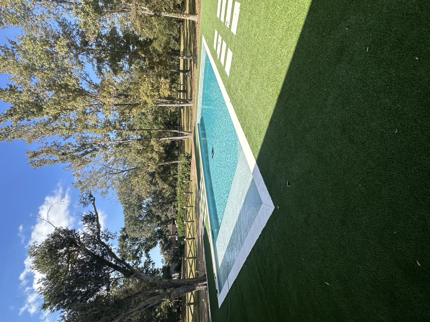 Pool with turf and stepping stones set among mature oaks