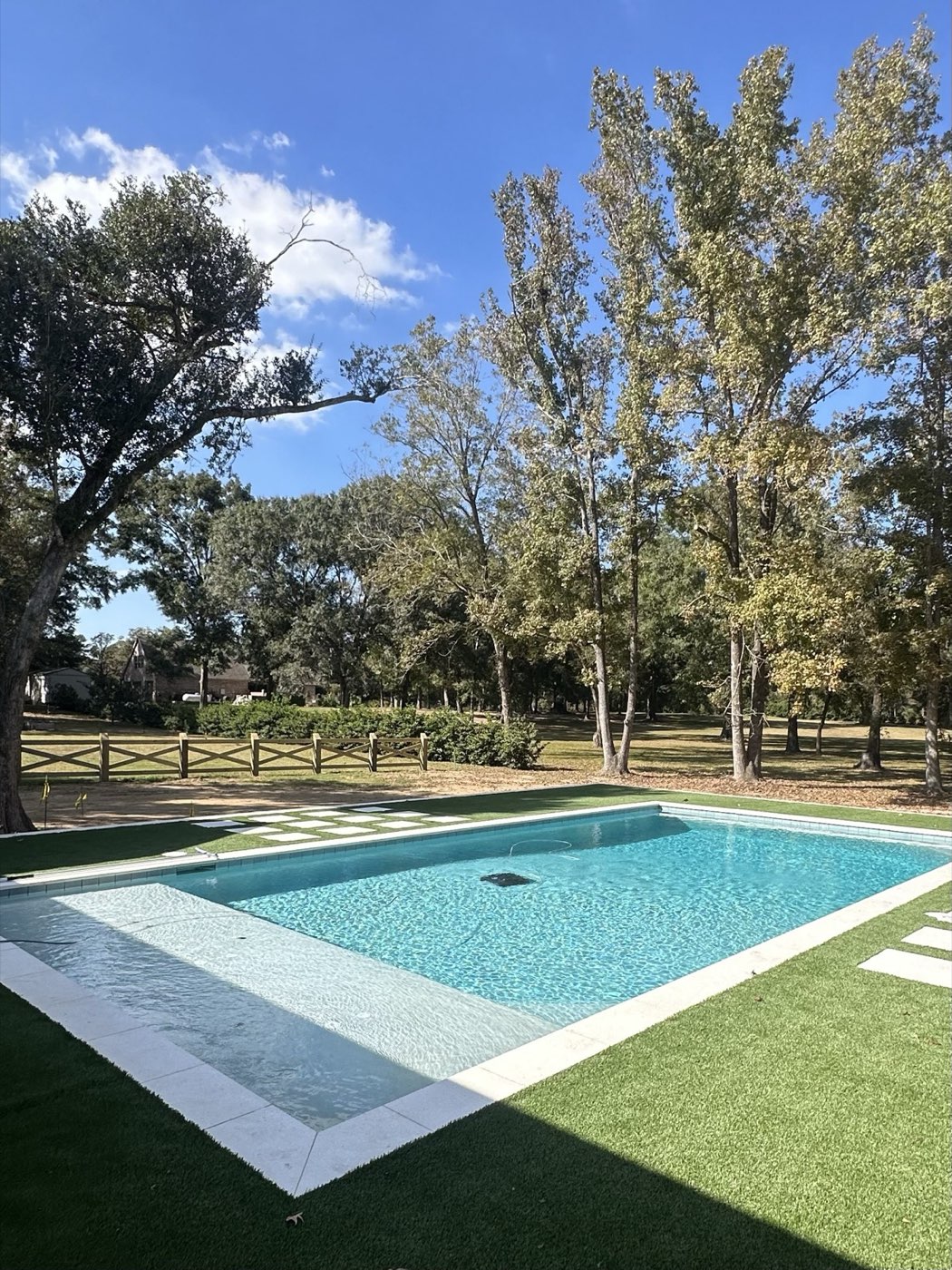 Pool with turf surround under mature oak trees