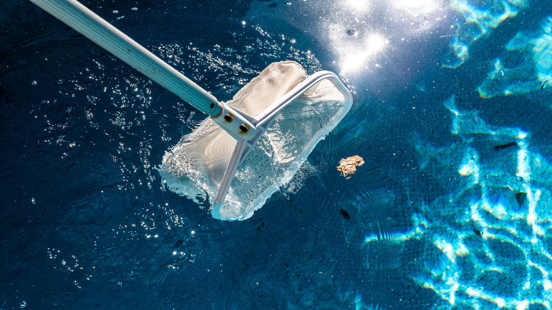 Pool Cleaning